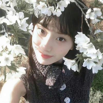 我的老板是小猪