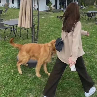 云上的小店第二季